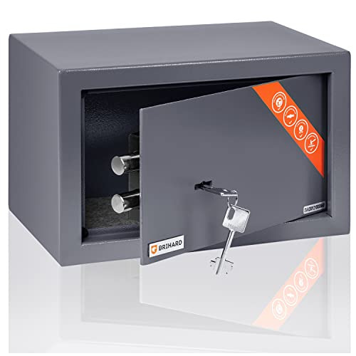 Brihard Hogar caja fuerte con cerradura de llave - 20x31x20cm caja fuerte de seguridad - Titanio...