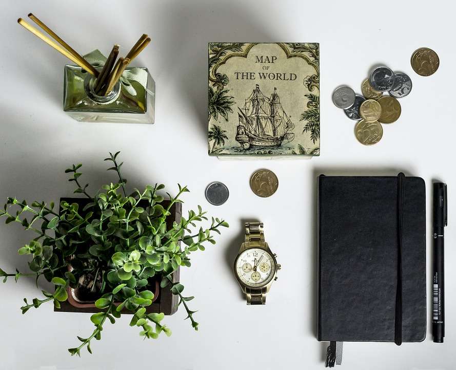 Plantas del dinero