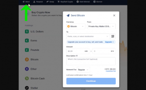 opción de enviar una crypto