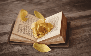 escribir libros para vender
