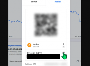 Dirección wallet correcta