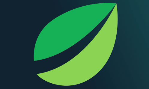 usar plataforma Bitfinex