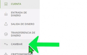 convertir una divisa en Neteller