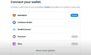 elegir Wallet para vincularte