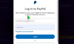 proceso de transacción PayPal