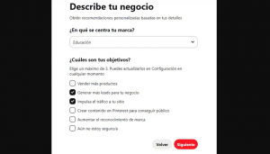 descripción del negocio