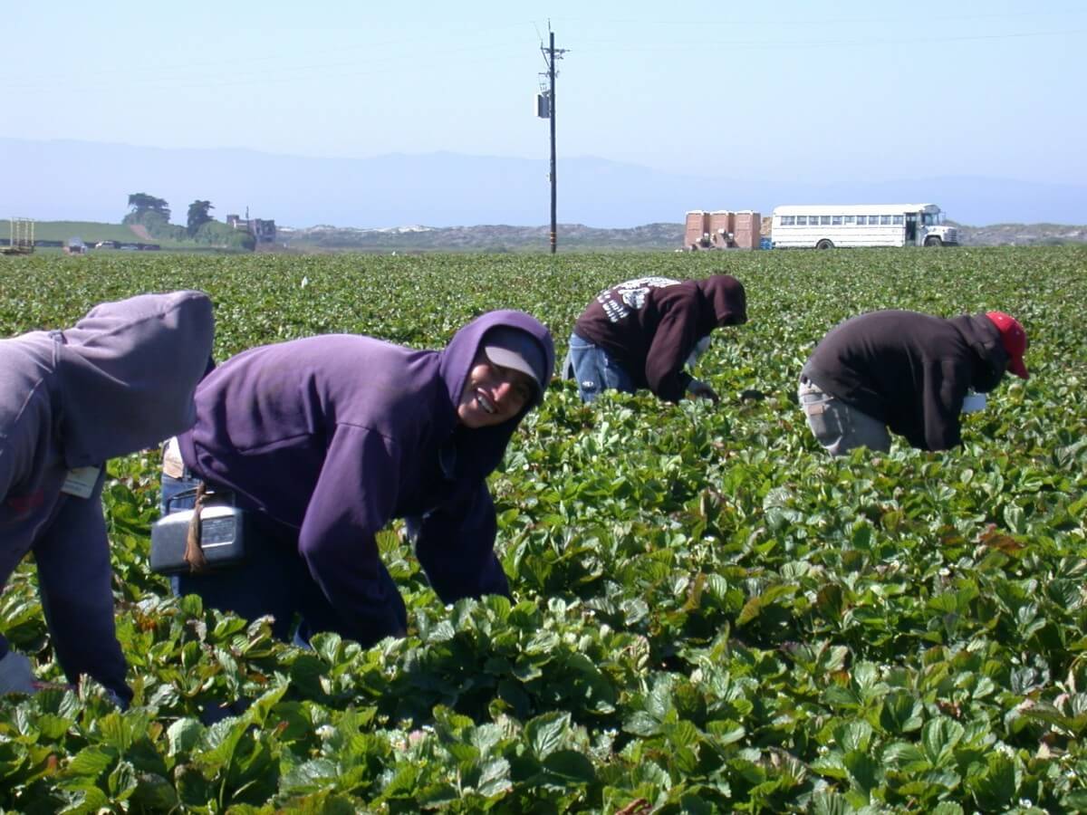 ¿Cómo puedo conseguir un trabajo en Nueva Jersey?